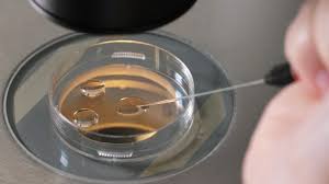 Alabama Hospital Halts IVF Services Amid Legal Battle over Frozen Embryos 2020 15 Alabama Hospital Halts IVF Services Amid Legal Battle over Frozen Embryos
