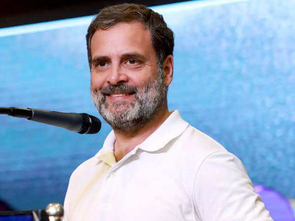 Rahul Gandhi Taken Into Custody Briefly in Defamation Case, Granted Bail: Lawyer. 15 Rahul Gandhi