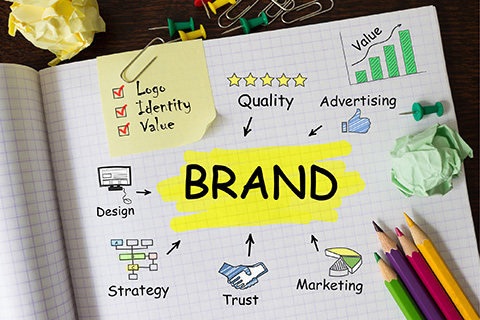 Building a Strong Personal Brand: Strategies for Professional Success 15 Personal Brand