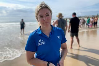 White Shark 3.5-Meter Found Dead After Washing Up on Kingscliff Beach 16 Great White Shark Found Dead After Washing Up on Kingscliff Beach