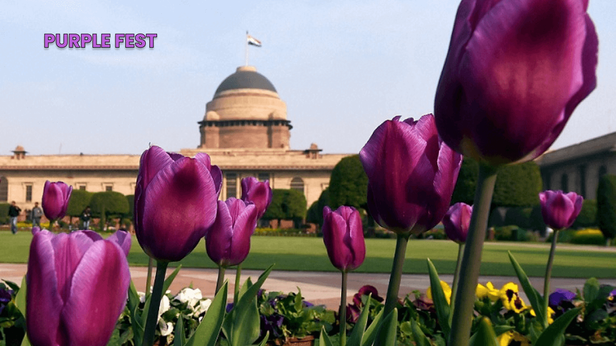 President Murmu Set to Launch 'Purple Fest' for Disabled at Rashtrapati Bhawan 14 Purple Fest