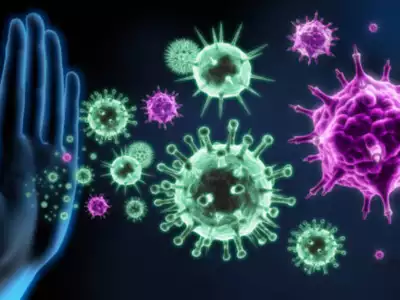 143 Revealed Instances of Meningococcal Illness Report : Figuring out the Flood in the US 15 Meningococcal Illness