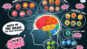 Optimizing Mental Health and Cognitive Function Through Your Diet: The Brain Diet Revolution 30 Mental Health