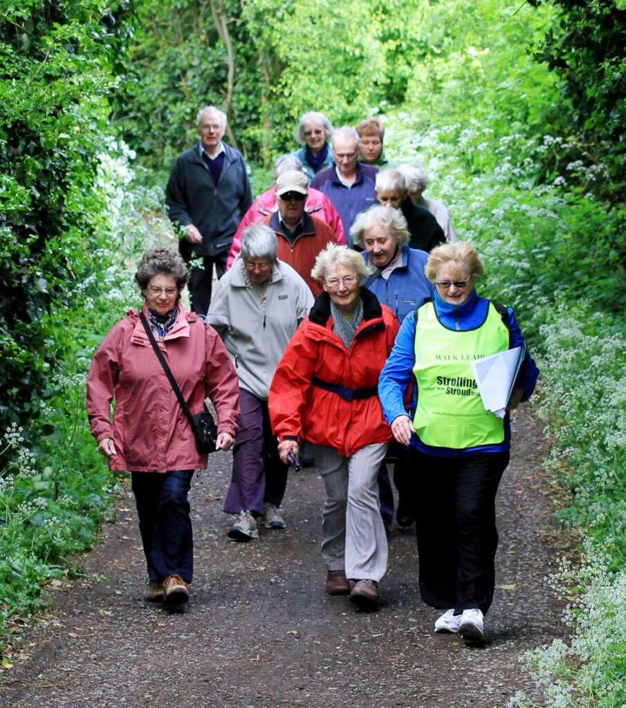 Raise Your Emotional well-being : Embrace These super 5 Exercise in 2024 15 Strolling