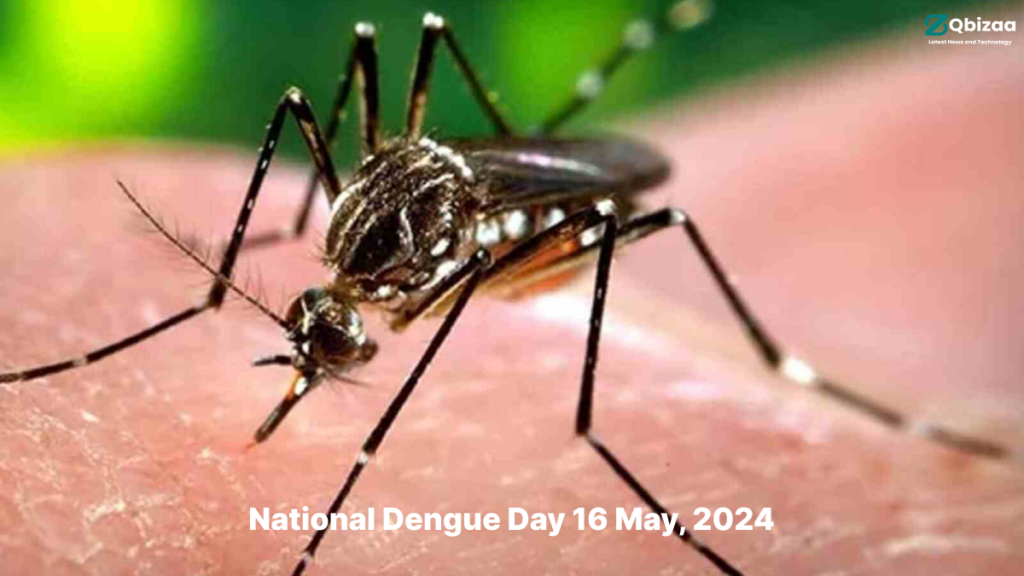 National Dengue Day 2024 : Understanding Severe Dengue - Symptoms, Complications, and Prevention 2 National Dengue Day 2024
