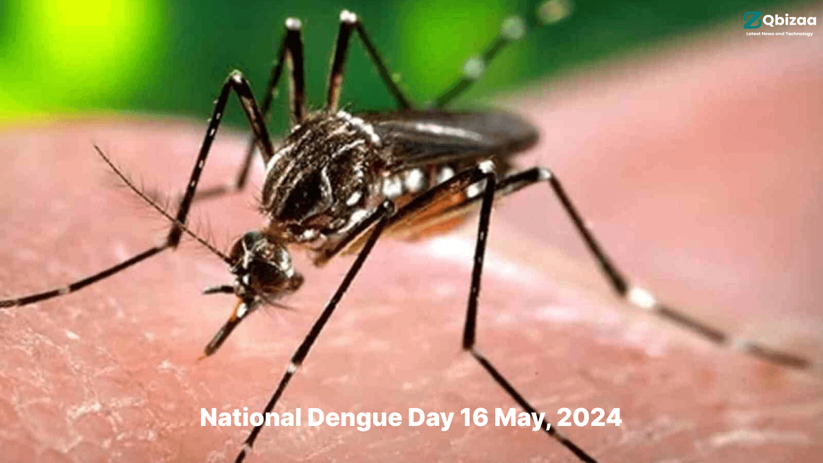 National Dengue Day 2024 : Understanding Severe Dengue - Symptoms, Complications, and Prevention 14 National Dengue Day 2024