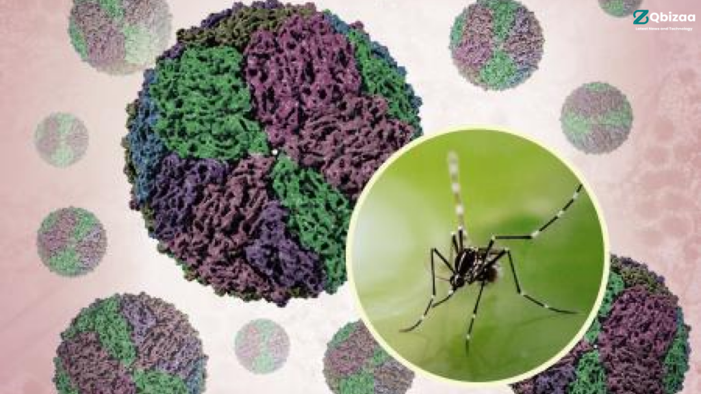 National Dengue Day 2024 : Understanding Severe Dengue - Symptoms, Complications, and Prevention 15 National Dengue Day 2024