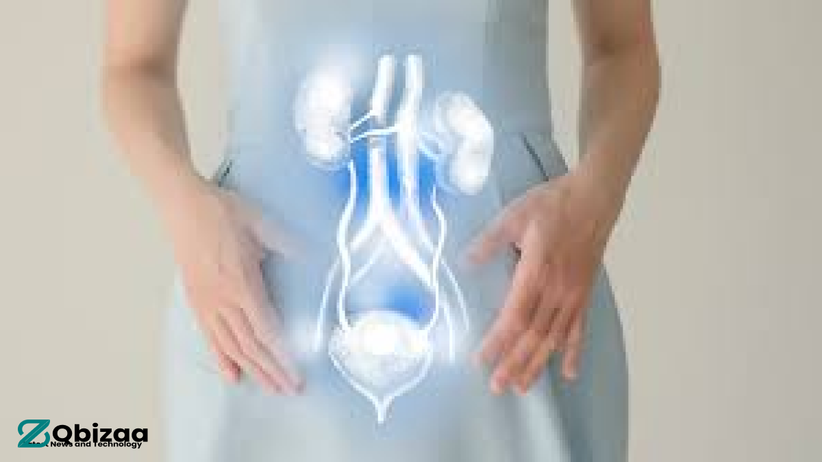 Unlocking Hope: Recce Pharmaceuticals Best Advances UTI/Urosepsis Clinical Trial 2024 14 UTI/Urosepsis Clinical Trial