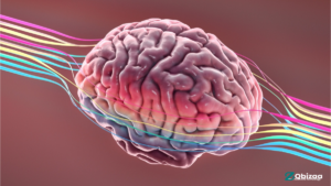 The brain could likewise have a microbiome - what you really want to be aware 26 microbiome