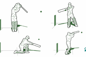 Most-Loved Cricket Shots