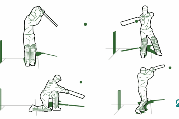 Most-Loved Cricket Shots